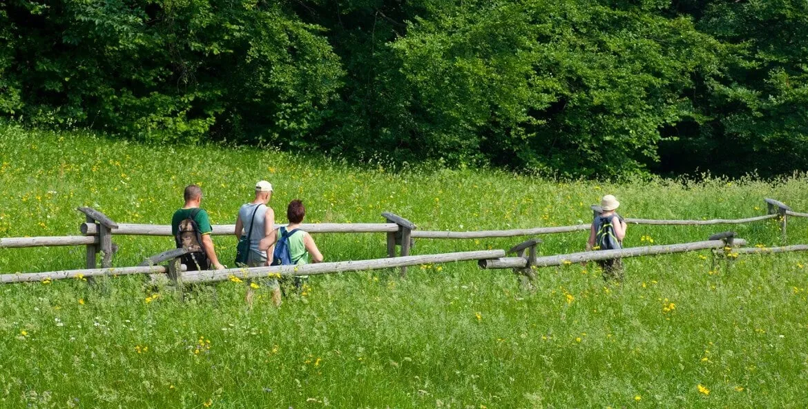 LATO POD TRZEMA KORONAMI